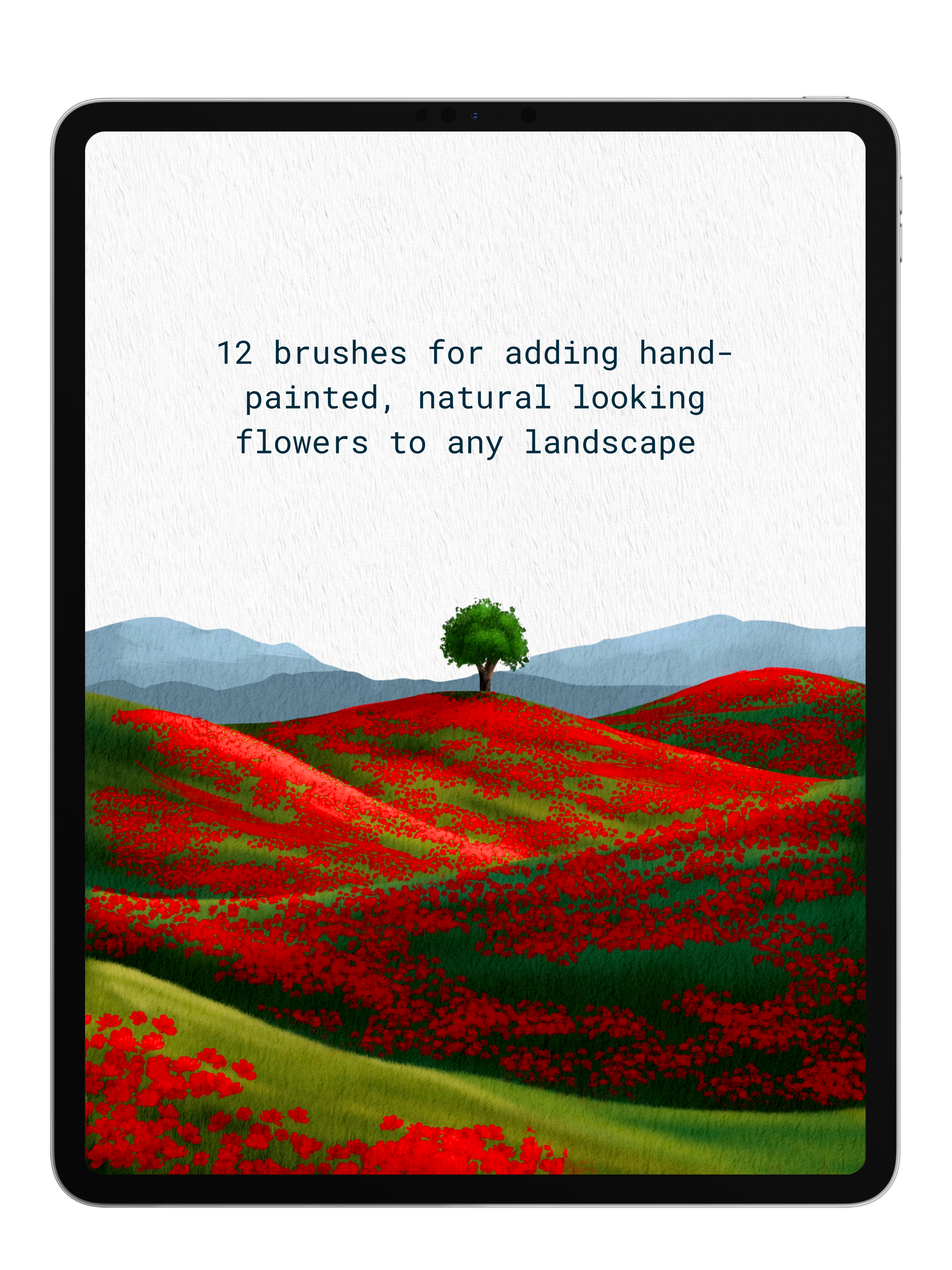 Wildflowers Mini Pack