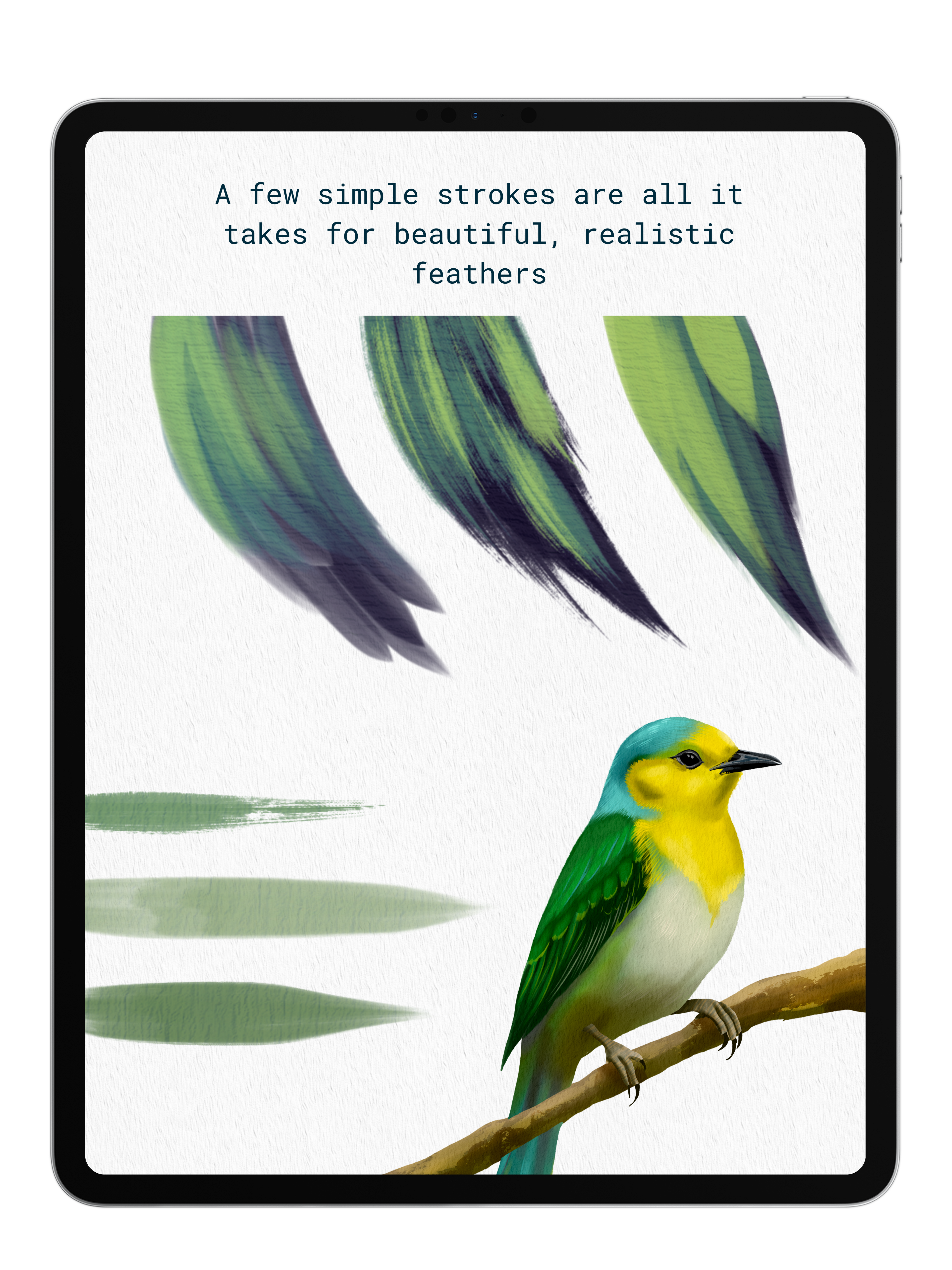 Nature Bundle (Early Bird Special)