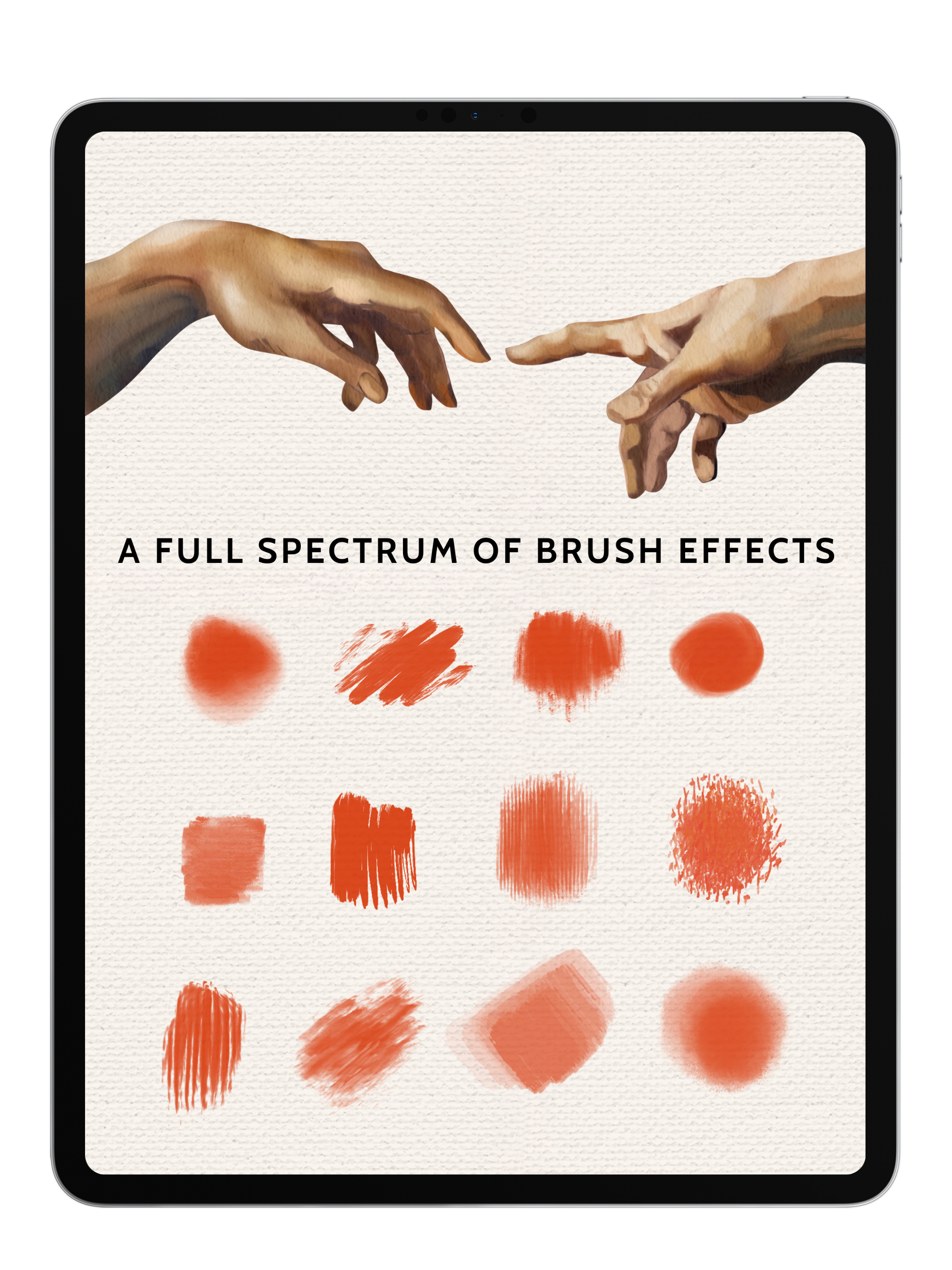 Studio Oil Brushes