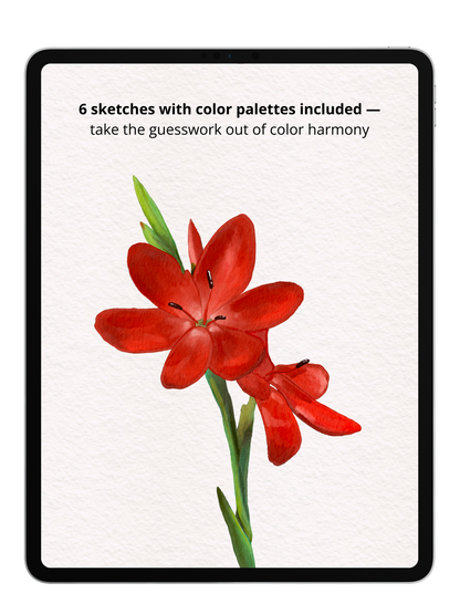 Flower Sketch Bundle