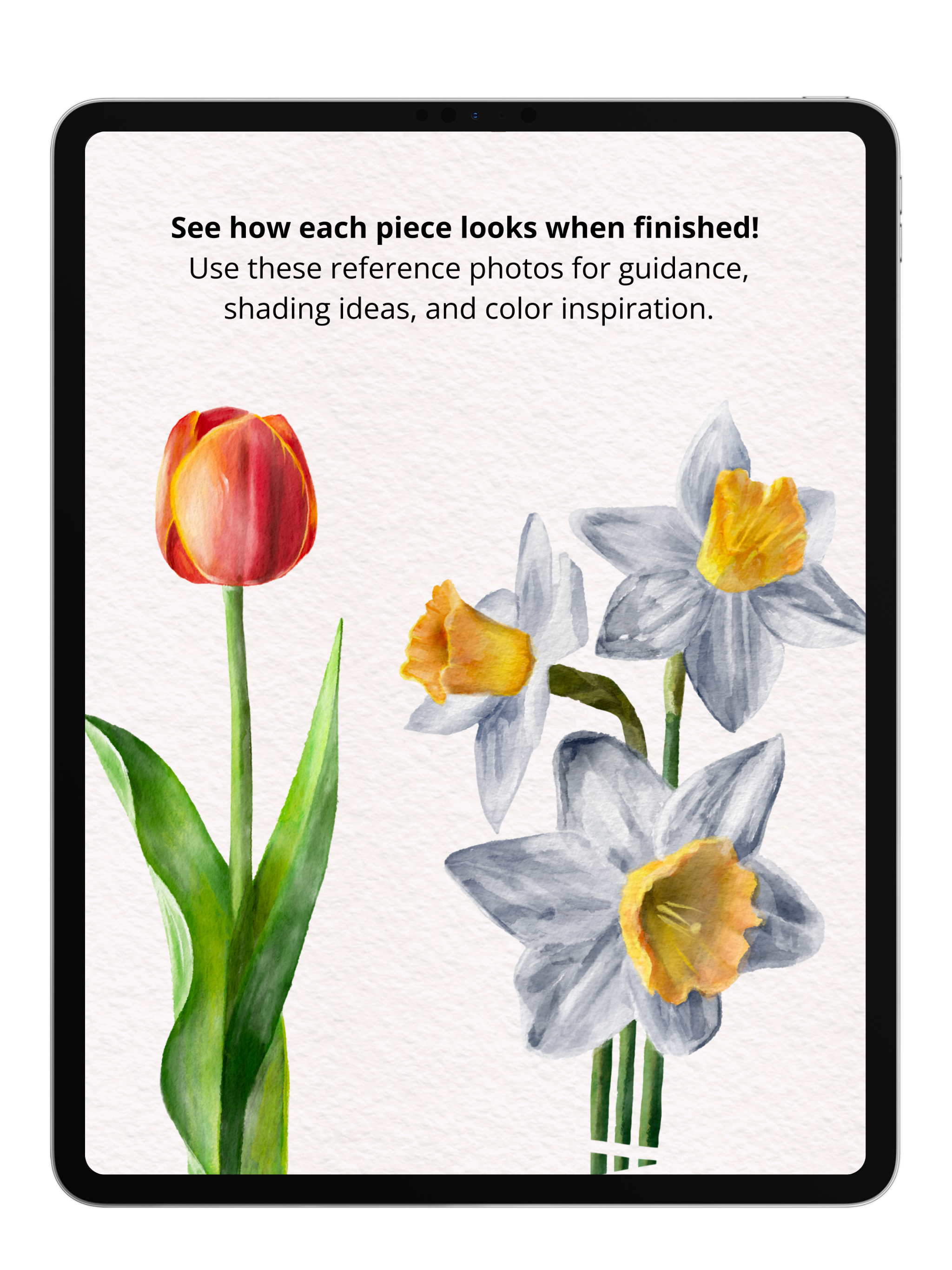 Flower Sketch Bundle