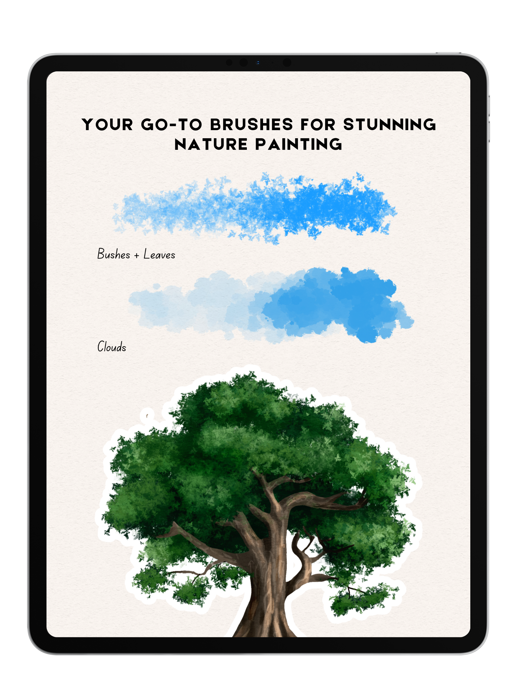 Gouache Brushes