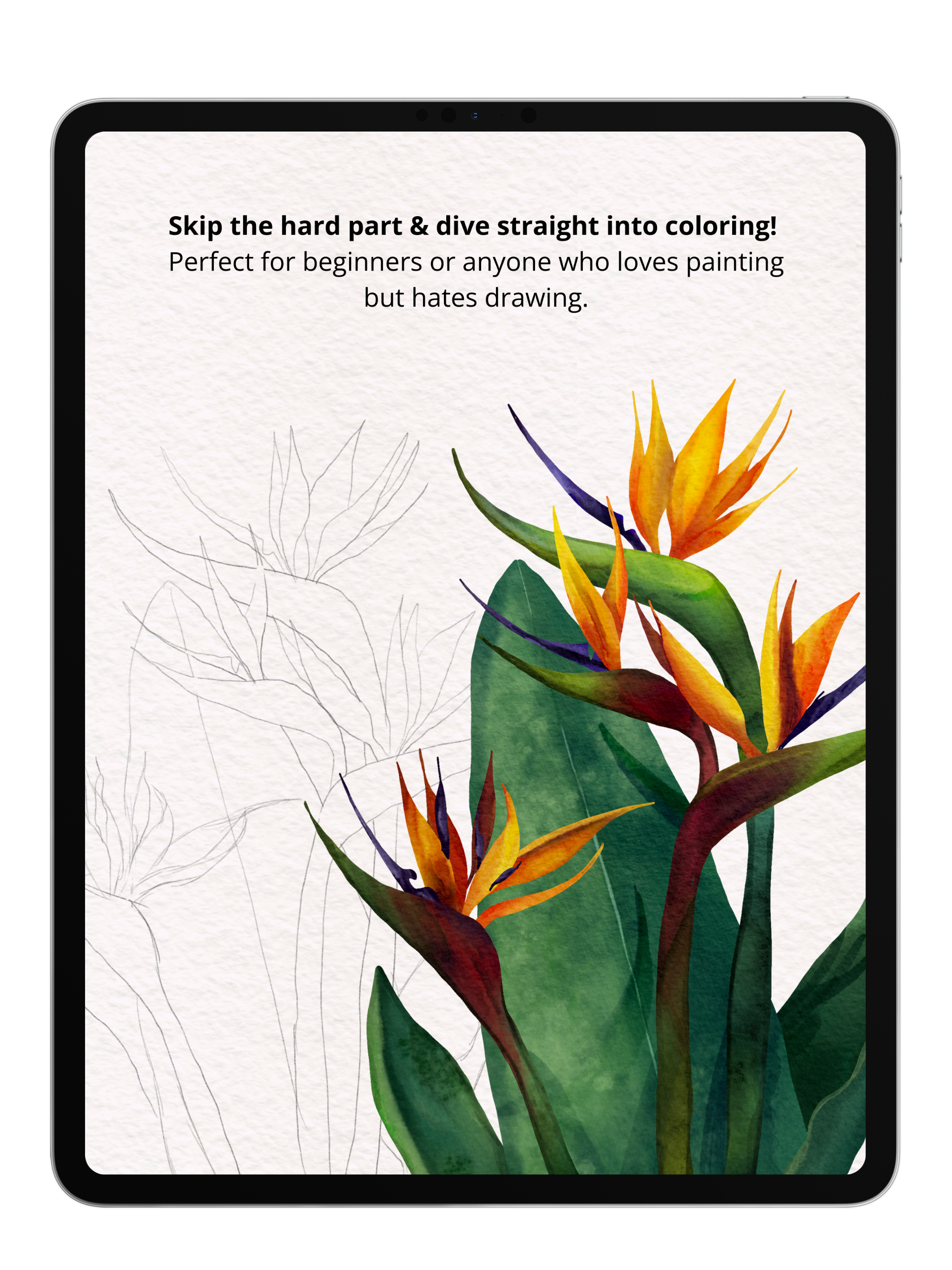 Flower Sketch Bundle