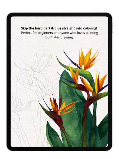 Flower Sketch Bundle