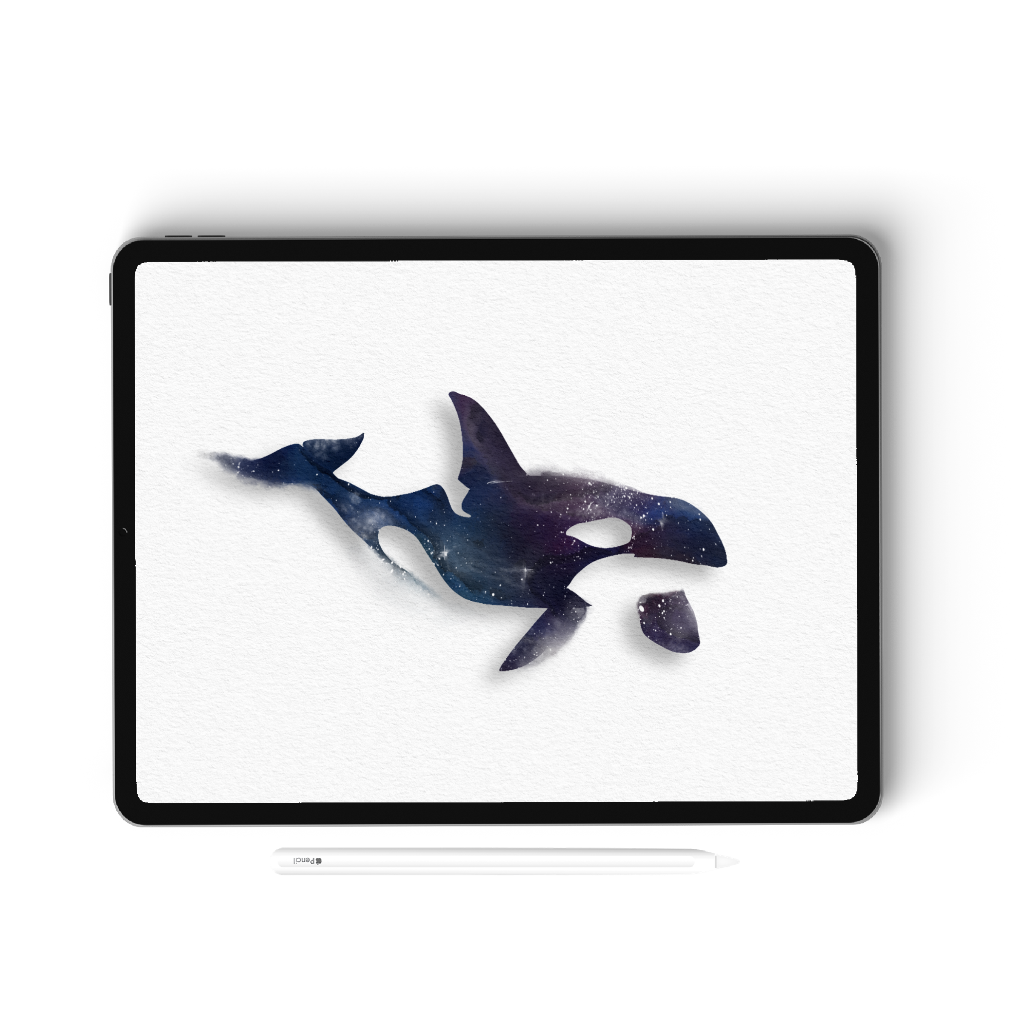 Ocean Stamps