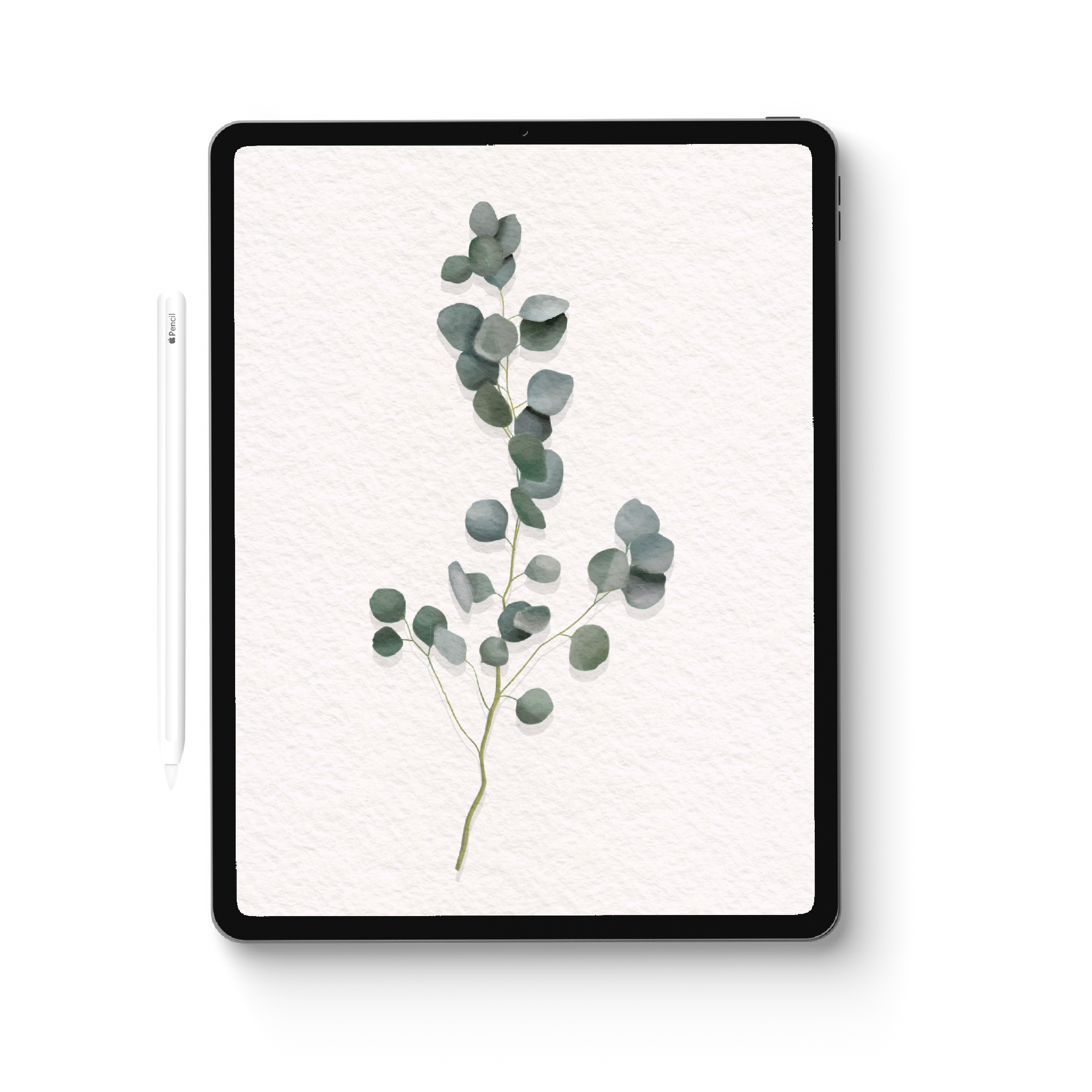 Plant Stamps